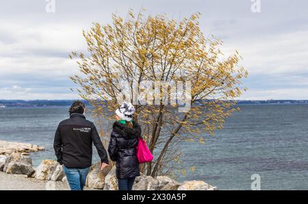 Romanshorn, Schweiz - 20. Februar 2022: Einige Menschen geniessen einen Spaziergang am Ufer des Bodensees, trotz starken Windböen. Stockfoto