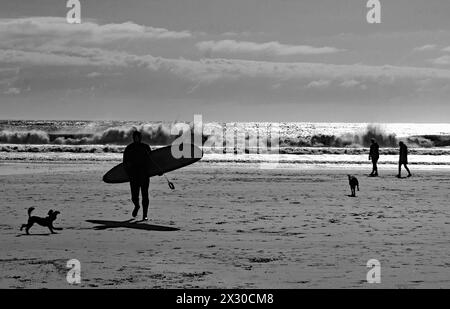 An einem Frühlingsmorgen spaziert ein Surfer am Strand des Seebades Seaburn entlang, während Hunde und ihre Besitzer einen Spaziergang entlang der Gezeitenlinie machen. Stockfoto