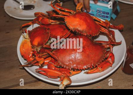 Gedämpfte Red Crab Seafood Isolate. Stockfoto