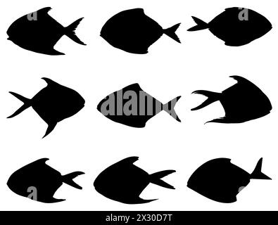 Pomfret Fisch Silhouette Vektorkunst Stock Vektor