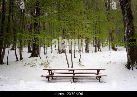 PIC-NIC-Tisch mit Schnee bedeckt. Am 21. April bedeckte der starke Schneefall die Bocca della Selva, ein Weiler in der Gemeinde Cusano Mutri in Aroun Stockfoto