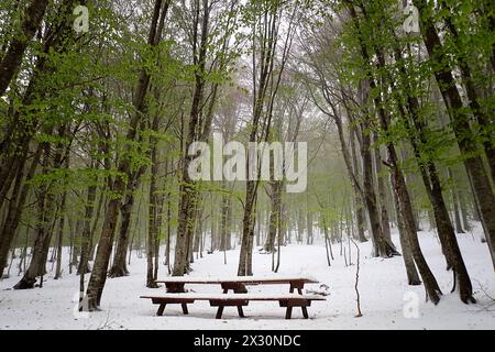 PIC-NIC-Tisch mit Schnee bedeckt. Am 21. April bedeckte der starke Schneefall die Bocca della Selva, ein Weiler in der Gemeinde Cusano Mutri in Aroun Stockfoto