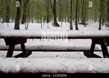 PIC-NIC-Tisch mit Schnee bedeckt. Am 21. April bedeckte der starke Schneefall die Bocca della Selva, ein Weiler in der Gemeinde Cusano Mutri in Aroun Stockfoto