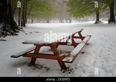 PIC-NIC-Tisch mit Schnee bedeckt. Am 21. April bedeckte der starke Schneefall die Bocca della Selva, ein Weiler in der Gemeinde Cusano Mutri in Aroun Stockfoto