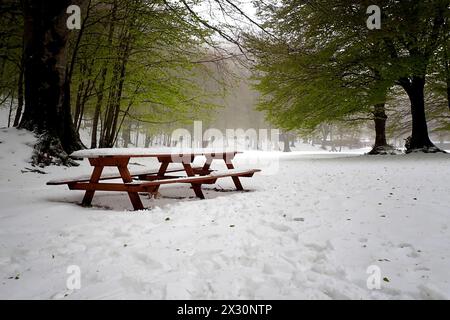 PIC-NIC-Tisch mit Schnee bedeckt. Am 21. April bedeckte der starke Schneefall die Bocca della Selva, ein Weiler in der Gemeinde Cusano Mutri in Aroun Stockfoto