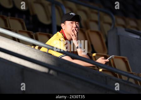 WOLVERHAMPTON, ENGLAND – 20. APRIL: Wolverhampton Wanderers Fan sitzt in der Tribüne vor dem Spiel der Premier League zwischen Wolverhampton Wanderers und Arsenal FC am 20. April 2024 in Molineux in Wolverhampton, England. (Foto: MB Media/MB Media) Stockfoto