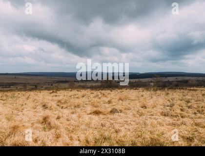 Hohes Venn, Belgien, 21.04.2024: Reisereportage, das hohe Venn ist eine grenzübergreifende, schildförmig gewölbte Hochfläche in Deutschland und Belgie Stockfoto