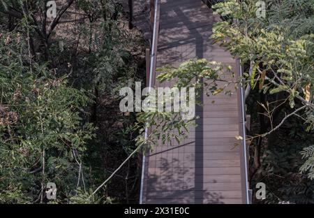 Blick auf eine wunderschöne hölzerne Hängebrücke mitten im Wald, umgeben von üppig grünen Wäldern an einem sonnigen Morgen. Sonnenlicht durch die Lev Stockfoto