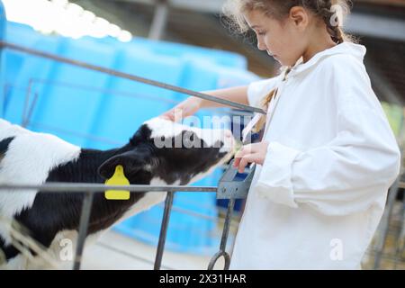 Hübsches kleines Mädchen in weißem Gewand streichelt kleines, süßes Kalb auf der Kuhfarm. Stockfoto