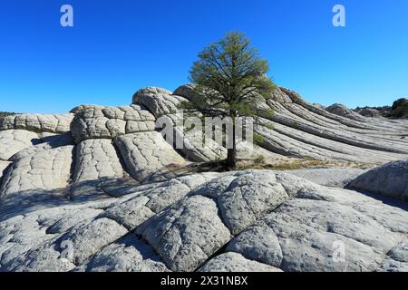 Geografie / Reisen, USA, Arizona, Vermillion Cliffs National Monument, Brain Rocks, White Pocket, ADDITIONAL-RIGHTS-CLEARANCE-INFO-NOT-AVAILABLE Stockfoto