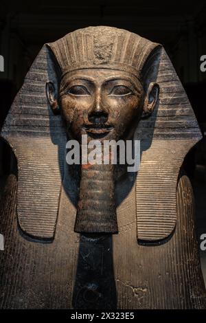 Kairo, Ägypten - 14. November 2023: Granit-Sphinx der Hatschepsut wird im Ägyptischen Museum von Kairo, Hauptstadt Ägyptens, ausgestellt Stockfoto