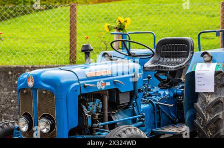 Ein Fordson Dexta Traktor mit Baujahr 1961 i st an der Herbstmesse Rafz ausgestellt. (Rafz, Schweiz, 25.09.2022) Stockfoto