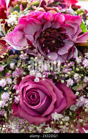 Botanik, runder herbstlicher Blumenstrauß, VORSICHT! FÜR DIE VERWENDUNG VON GREETINGCARD/POSTKARTEN IN DEUTSCHSPRACHIGEN LÄNDERN GELTEN MÖGLICHERWEISE BESTIMMTE EINSCHRÄNKUNGEN Stockfoto