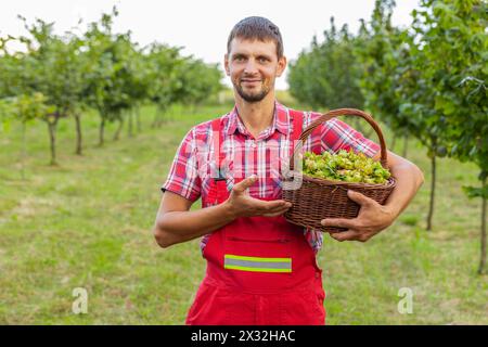 Happy man Farmer zeigt eine gute Ernte von rohen Haselnüssen, die einen vollen Korb in Händen halten, im Garten. Hazel Tree-Zeilen. Agrargärtner, der reife Nüsse auf dem Feld anbaut. Gesunde Naturkost, ökologische Produkte Stockfoto