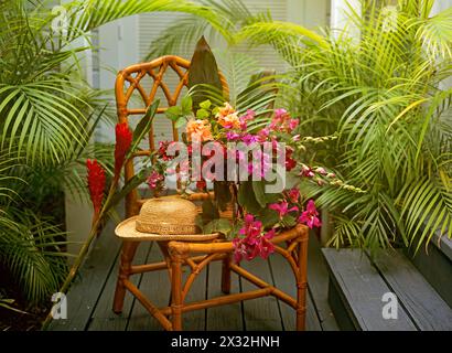 BOTANIK, ADDITIONAL-RIGHTS-CLEARANCE-INFO-NOT-AVAILABLE Stockfoto