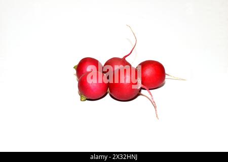 Mehrere rote Radieschen, bereit zum Verzehr. Stockfoto