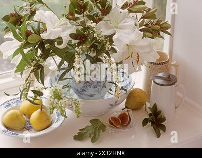 BOTANIK, ADDITIONAL-RIGHTS-CLEARANCE-INFO-NOT-AVAILABLE Stockfoto