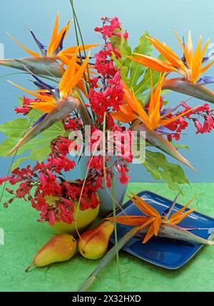 BOTANIK, ADDITIONAL-RIGHTS-CLEARANCE-INFO-NOT-AVAILABLE Stockfoto