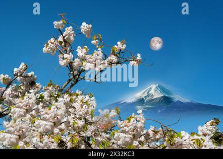 Sakura Mt. Fuji und weiße Kirschblüten im Frühling vom Kawaguchiko See Yamanashi Japan bei Vollmond Stockfoto