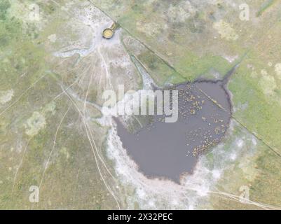 Eine Lagune der argentinischen Pampas, Las Flores, Provinz Buenos Aires, Argentinien. Stockfoto