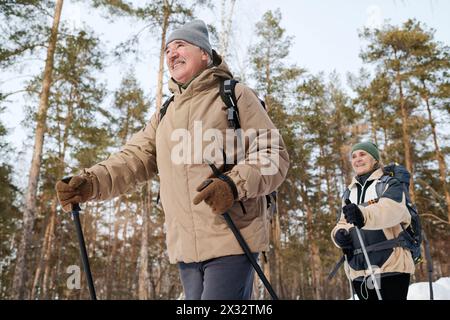Niedriger Blickwinkel auf fröhliche ältere kaukasische Männer und Frauen in Winterkleidung, Wandern mit Trekkingstöcken im Wald, Kopierraum Stockfoto