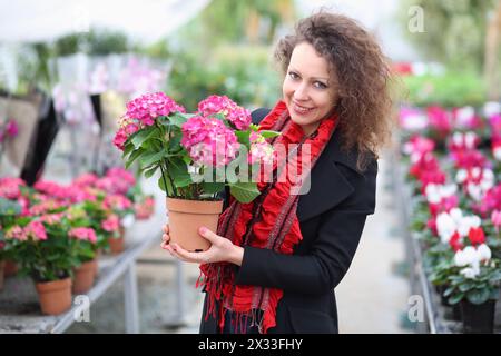 Schöne Frau, die Blumentopf mit roten Hortensien im Gewächshaus hält Stockfoto