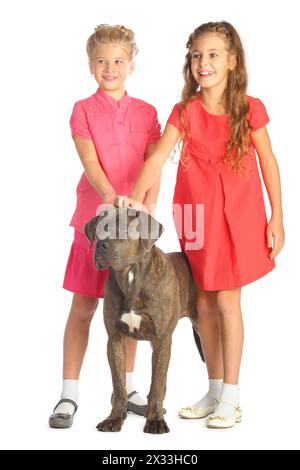 Zwei schöne Mädchen streicheln fröhlich einen großen Hundekopf isoliert auf weiß. Konzentriere dich auf das Mädchen in rotem Kleid Stockfoto