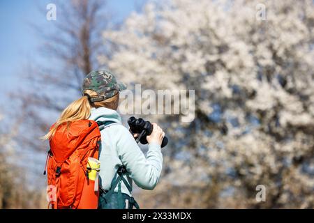 Vogelbeobachtung. Ornithologin mit Fernglas beobachtet Vögel, die im Frühjahr in blühender Natur ankommen Stockfoto