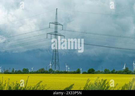 Strommast, Windräder, Rapsfeld, Frühling, Sachsen-Anhalt, Deutschland Stockfoto