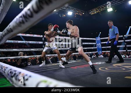 24. April 2024; Hordern Pavilion, Sydney, NSW, Australien: Australian Super Welterweight Title, Nikita Tszyu gegen Danilo Creati; Nikita Tszyu wirft Danilo Creati einen Jab Stockfoto