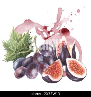 Trauben violett bemalt mit Rotweinfleck und Feige. Aquarell, handgezeichnet, isoliert auf weißem Hintergrund. Für Verpackungsdesign, Logo, Etikett. Stockfoto
