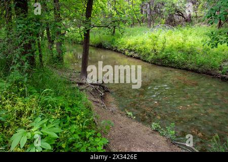 Ein ruhiger Bach schlängelt sich durch einen grünen Wald mit üppigem Grün an seinen Ufern. Ein gut abgenutzter Pfad verläuft parallel zum Wasser. Stockfoto