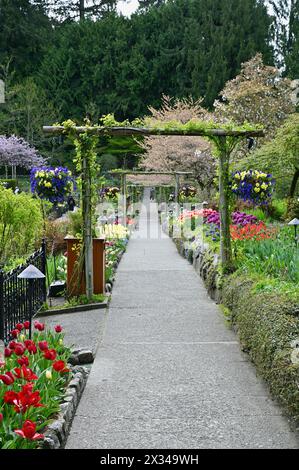 Frühlingsblumen in voller Blüte in den wunderschönen Gärten von Butchart zeigen Massenanpflanzungen von Schönheit in der Natur Stockfoto