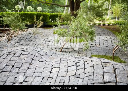 Junge Bäume, die durch Granitpflaster im Park wachsen. Stockfoto