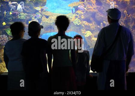 Silhouetten von drei Erwachsenen und zwei Kindern vor einem großen Aquarium mit bunten Fischen Stockfoto