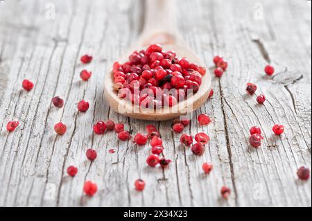 Holzlöffel mit rosa Pfeffer isoliert auf rustikalem Hintergrund Stockfoto