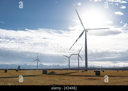 Die Windmühle steht hoch vor der Sonne und blickt auf runde Strohballen auf einer Wiese in Alberta, Kanada Stockfoto