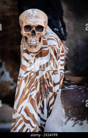 Künstlicher Schädel, fotografiert während mittelalterlicher Tage in Avila, spanien Stockfoto