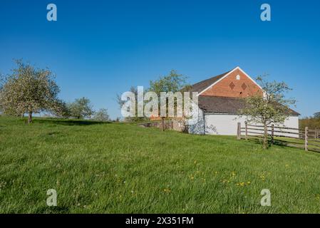 Apfelgarten auf der Trostle Farm im Frühjahr, Gettysburg Pennsylvania USA Stockfoto