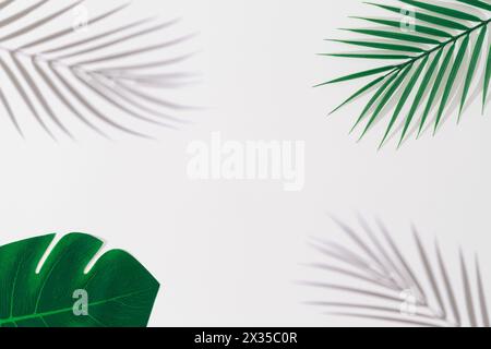 Grüne tropische Blätter und Schatten auf weißem Hintergrund. Minimales Sommerkonzept mit Palmenblatt. Kreativer Copyspace. Grenzanordnung. Stockfoto