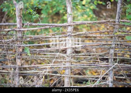 Deadwood-Hecke auf einer Wiese, praktischer Naturschutz, Nistplatz und Futterplatz für Vögel und Insekten, Niedersachsen Stockfoto