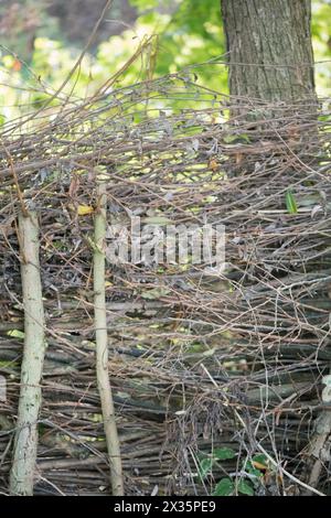 Nahaufnahme einer Totholzhecke auf einer Wiese, praktischer Naturschutz, Brutplatz für Vögel und Insekten, Niedersachsen, Deutschland Stockfoto