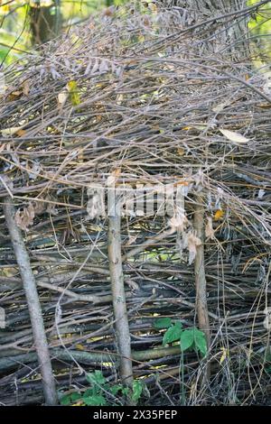 Nahaufnahme einer Totholzhecke auf einer Wiese, praktischer Naturschutz, Brutplatz für Vögel und Insekten, Niedersachsen, Deutschland Stockfoto