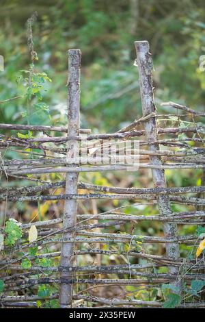 Deadwood-Hecke auf einer Wiese, praktischer Naturschutz, Nistplatz und Futterplatz für Vögel und Insekten, Niedersachsen Stockfoto