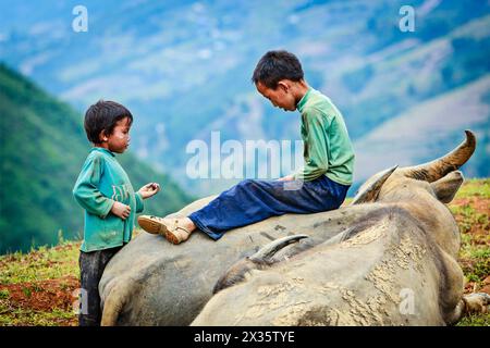 Nicht identifizierte vietnamesische Kinder mit Büffeln im Dorf Ta Van, Vietnam Stockfoto