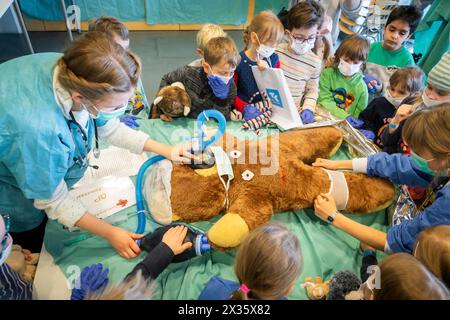 20 Jahre Teddy-Krankenhaus, Dresden, Sachsen, Deutschland Stockfoto