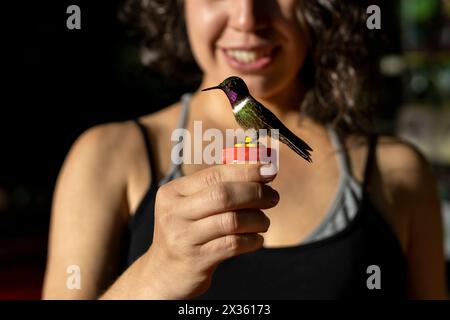 Lateinamerikanische Frau (38) hält einen Kolibri-Futtermittel in den Händen, während sie sich von speziell für den Vogel vorbereitetem Futter ernährt. Selektive Fokussierung auf das Summen Stockfoto