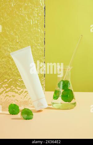 Vorderansicht der weißen Kosmetikröhre mit gotu-Kola-Blättern auf Glaskolben und Glasacrylplatte auf grünem Hintergrund. Leeres Etikett für Modellbranding, n Stockfoto