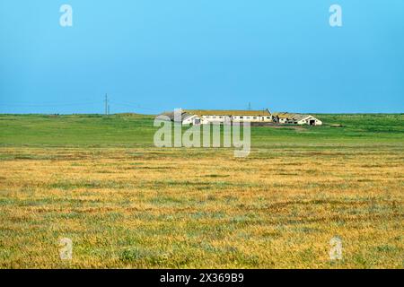 Ein alter verlassener Schäferstall mit Schafstall (Schaffarm) in der Steppe. Sowjetische Schafindustrie (Schafzucht sovkhoz - kollektive Wirtschaft). Stockfoto