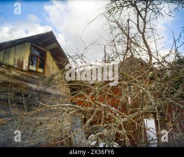 Tote Äste eines Obstbaums gegen altes Holzhaus, Tageslichtaufnahme Stockfoto